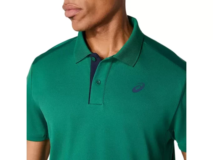 DOMSTOL POLO