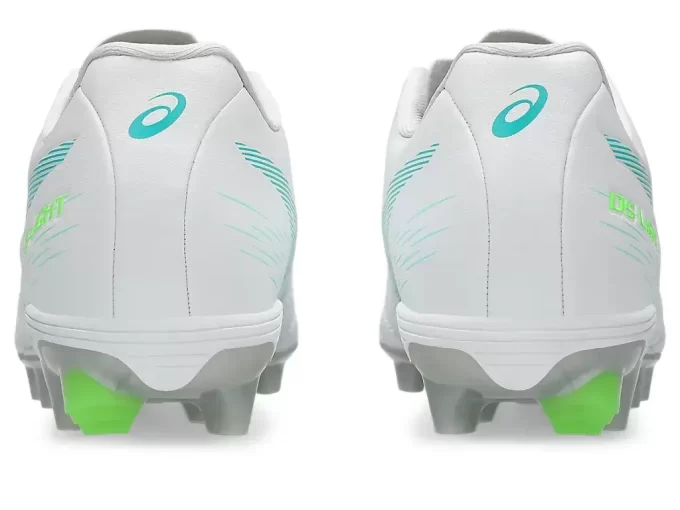 DS LIGHT JR GRAD SCHOOL DS LIGHT JR GRAD SCHOOL