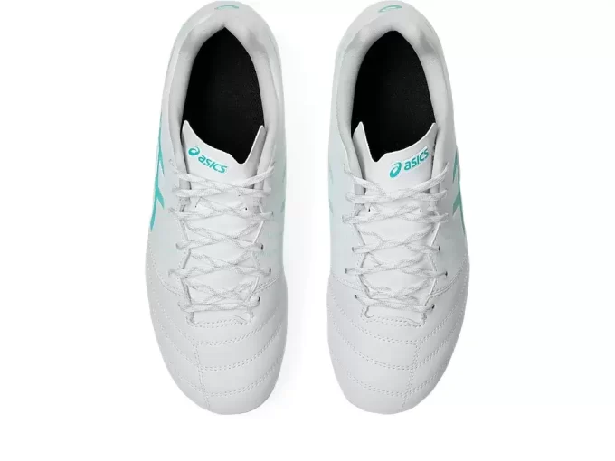 DS LIGHT JR GRAD SCHOOL DS LIGHT JR GRAD SCHOOL