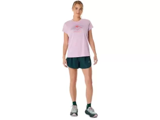 FUJITRAIL LOGO KORTÄRM TOPP