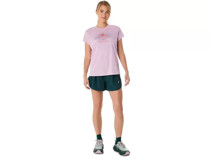 FUJITRAIL LOGO KORTÄRM TOPP