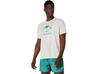 FUJITRAIL LOGO KORTÄRM TOPP