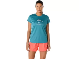 FUJITRAIL LOGO KORTÄRM TOPP