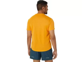 FUJITRAIL LOGO KORTÄRM TOPP