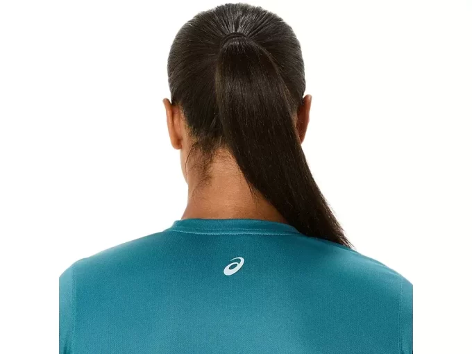 FUJITRAIL LOGO KORTÄRM TOPP