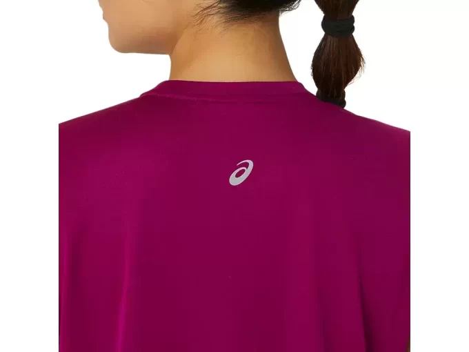 FUJITRAIL LOGO KORTÄRM TOPP