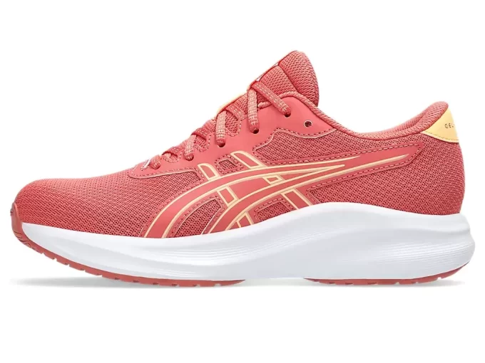 GEL-EXCITE 11 GRAD SCHOOL