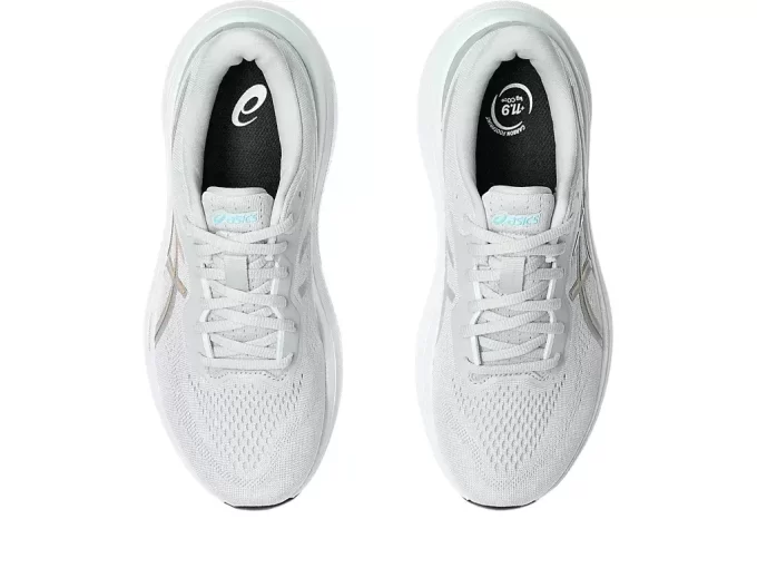 GT-1000 13 BRED GT-1000 13 BRED